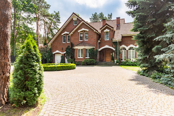 Best Driveway Paving Near Me  in Beacon Hill, WA