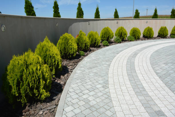 Trusted Beacon Hill, WA Driveway Pavers Experts