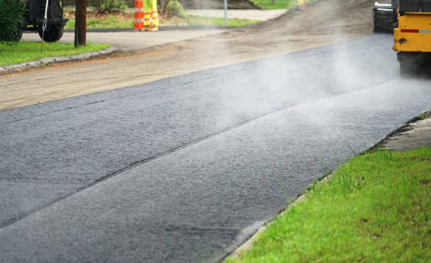 Best Driveway Pavers Near Me  in Beacon Hill, WA